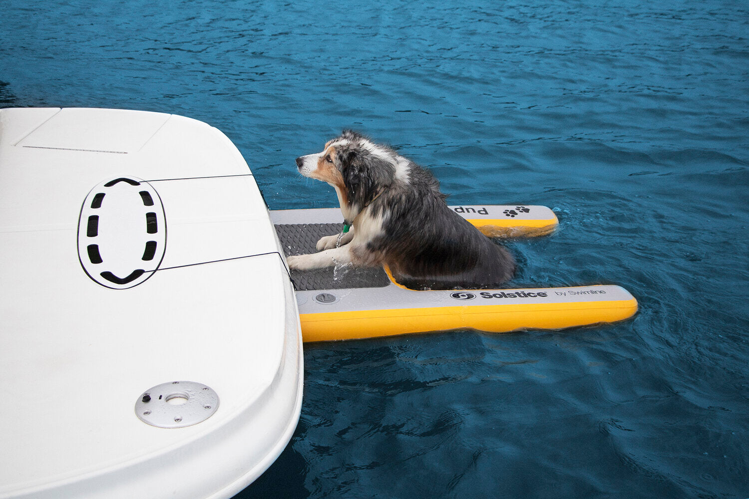 Make Boating Safe & Easy For Your Pup!